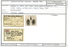 Karteikarte zum Syntyp von Quinqueloculina excavata Karrer, 1868